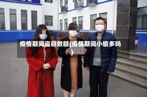 疫情期间盗窃数额(疫情期间小偷多吗)