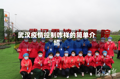 武汉疫情控制咋样的简单介绍