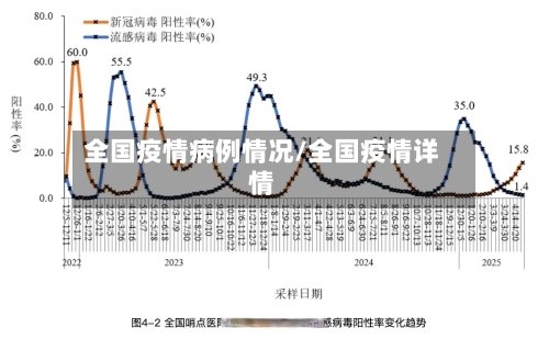 全国疫情病例情况/全国疫情详情