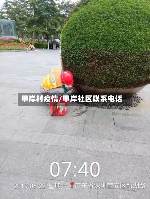 甲岸村疫情/甲岸社区联系电话