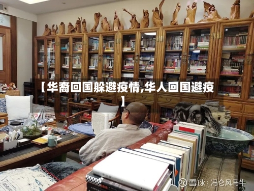 【华裔回国躲避疫情,华人回国避疫】