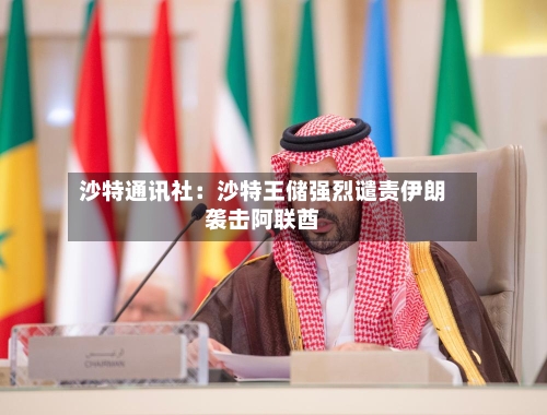 沙特通讯社：沙特王储强烈谴责伊朗袭击阿联酋