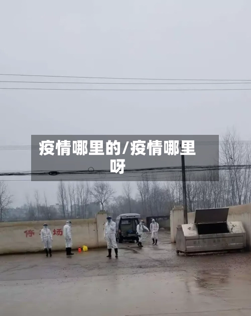 疫情哪里的/疫情哪里呀