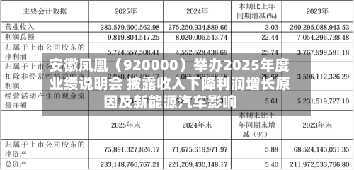 安徽凤凰（920000）举办2025年度业绩说明会 披露收入下降利润增长原因及新能源汽车影响