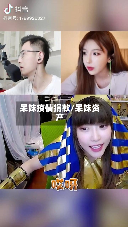 呆妹疫情捐款/呆妹资产