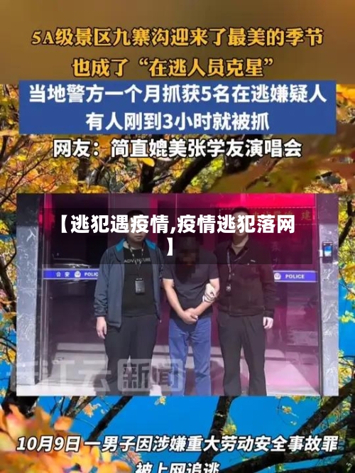 【逃犯遇疫情,疫情逃犯落网】