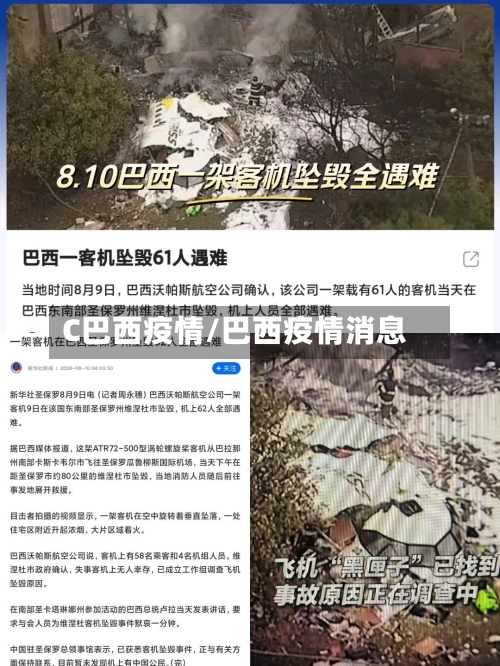 C巴西疫情/巴西疫情消息