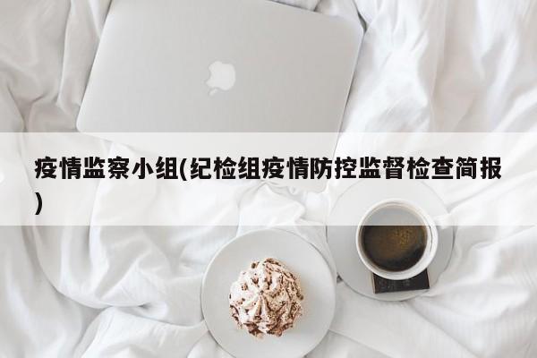 疫情监察小组(纪检组疫情防控监督检查简报)