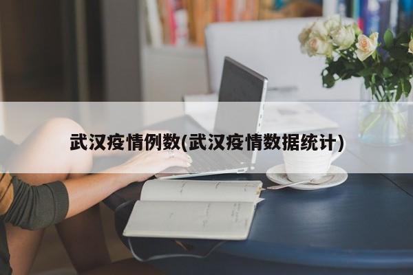 武汉疫情例数(武汉疫情数据统计)