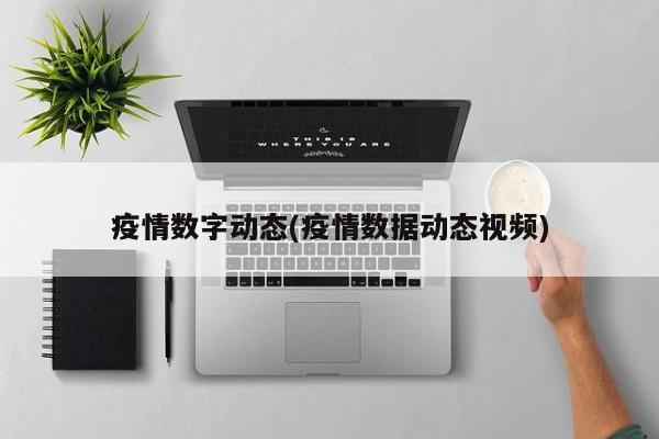 疫情数字动态(疫情数据动态视频)