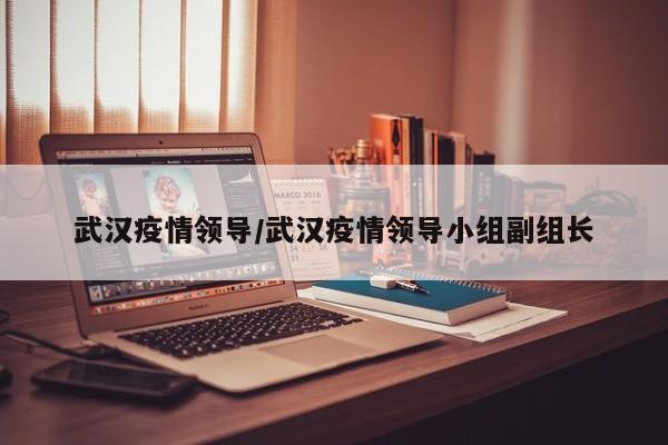 武汉疫情领导/武汉疫情领导小组副组长