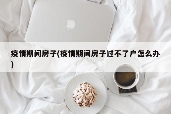 疫情期间房子(疫情期间房子过不了户怎么办)