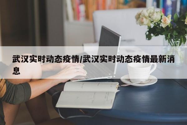 武汉实时动态疫情/武汉实时动态疫情最新消息