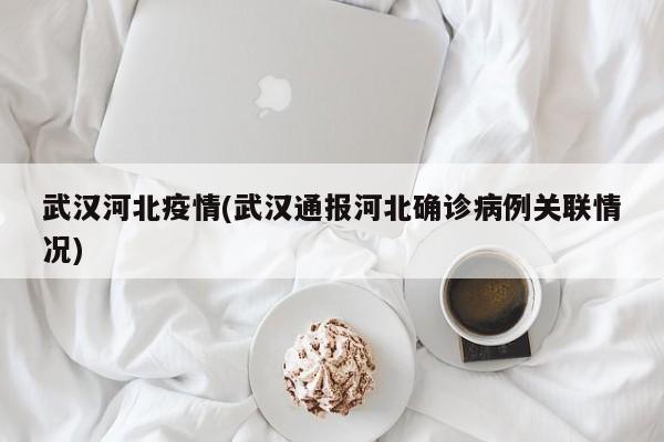 武汉河北疫情(武汉通报河北确诊病例关联情况)