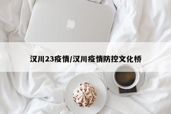 汉川23疫情/汉川疫情防控文化桥